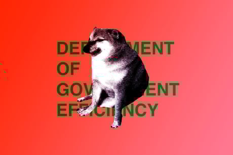 Az elképesztő káosz, amit Musk a Dogecoinnál hagyott maga után