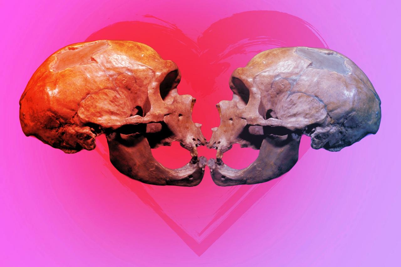 Az első csók 21 millió éve indította el a romantikát