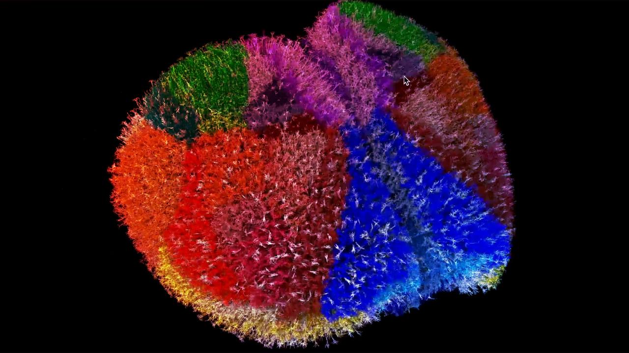 Az első igazi virtuális agy: egéragy életre kel szuperszámítógépen