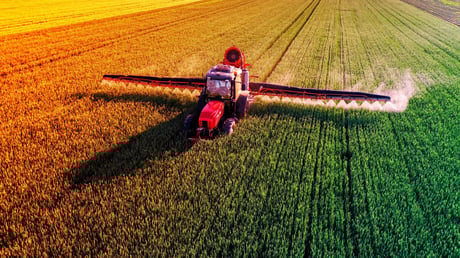 Az elterjedt növényvédő szerek károsíthatják a férfiak termékenységét