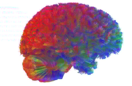 Az emberi agy öt szédítő korszakon át alakul