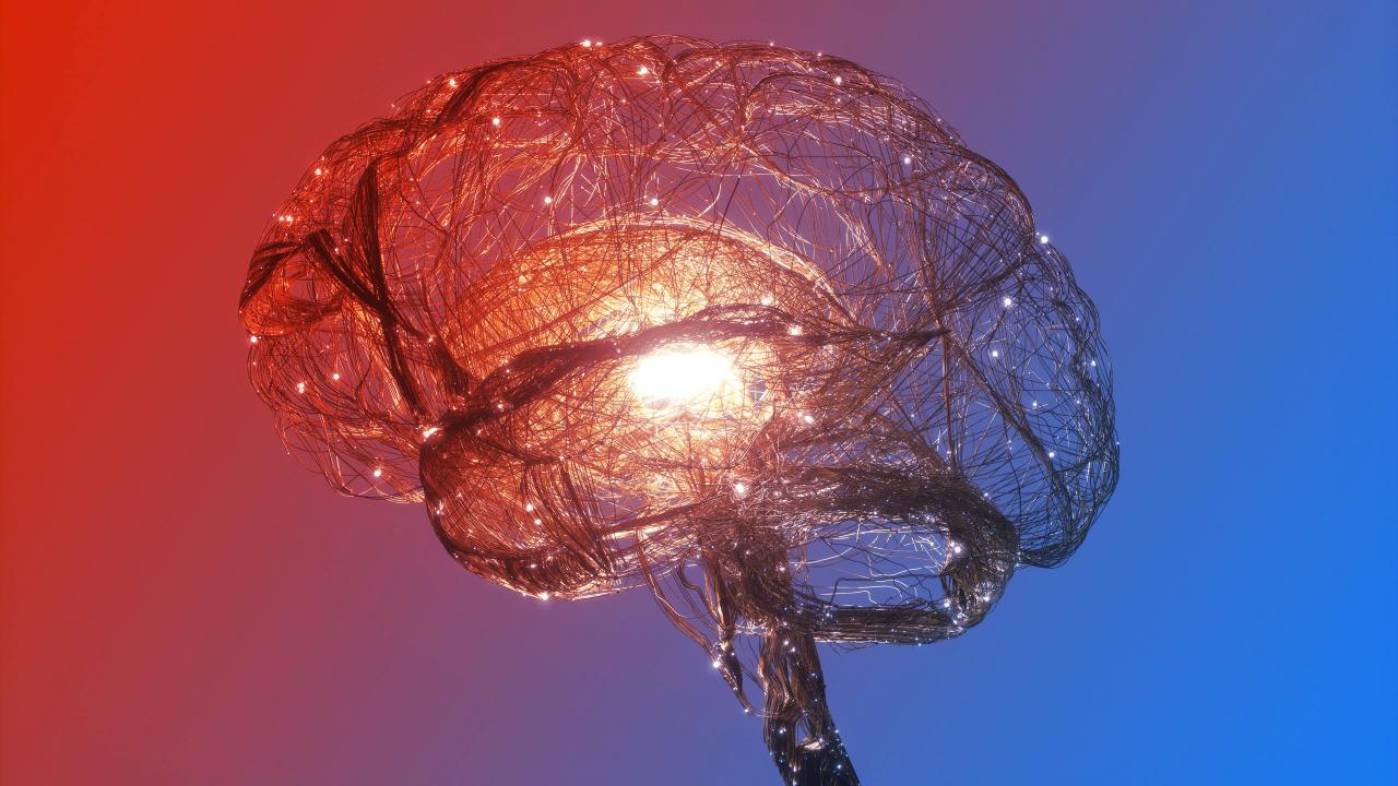 Az emberi értelem: sorsszerű fejlődés vagy kozmikus véletlen?