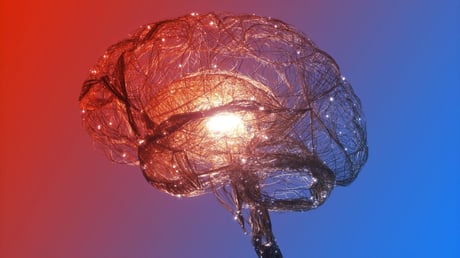 Az emberi értelem: sorsszerű fejlődés vagy kozmikus véletlen?