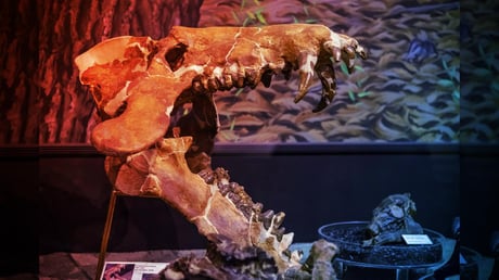 Az észak-amerikai pokoldisznók valóságos csonttörő bestiák voltak