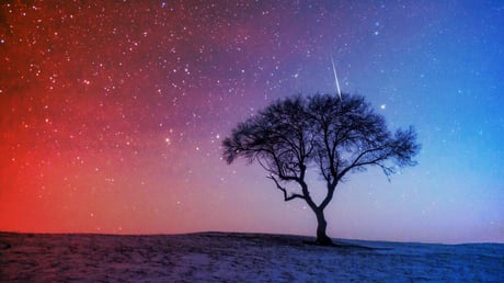 Az év egyik leglátványosabb meteorhullása jön: itt a Leonidák éjszakája