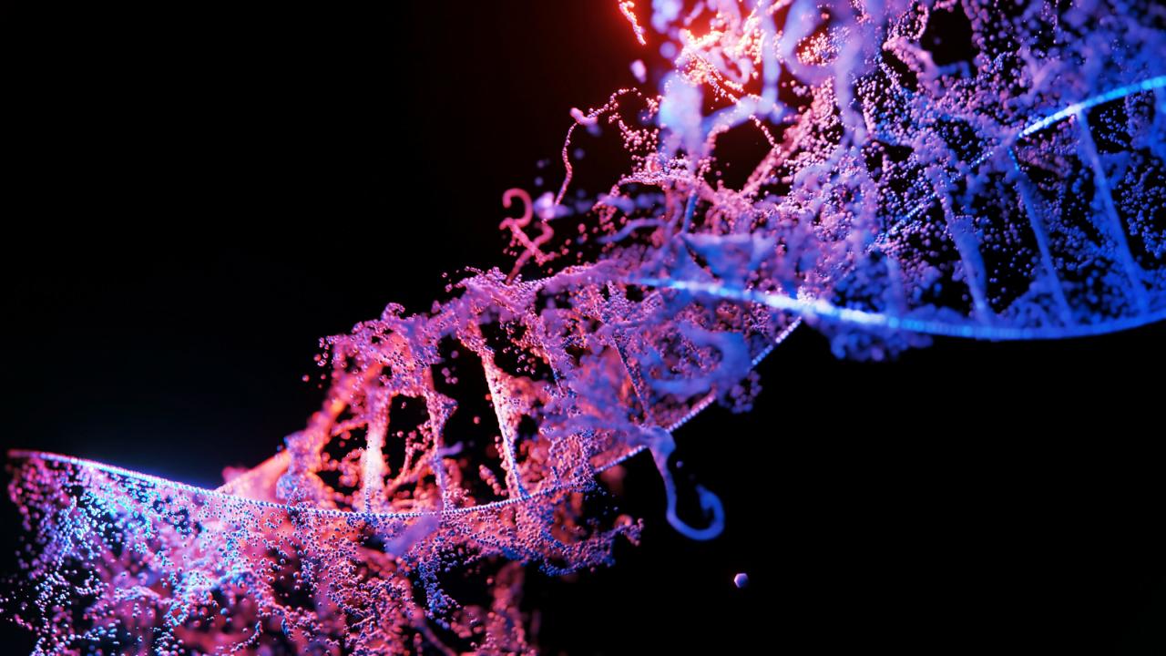 Az evolúció csapdája: miért nem lehetünk igazán alkalmazkodók?