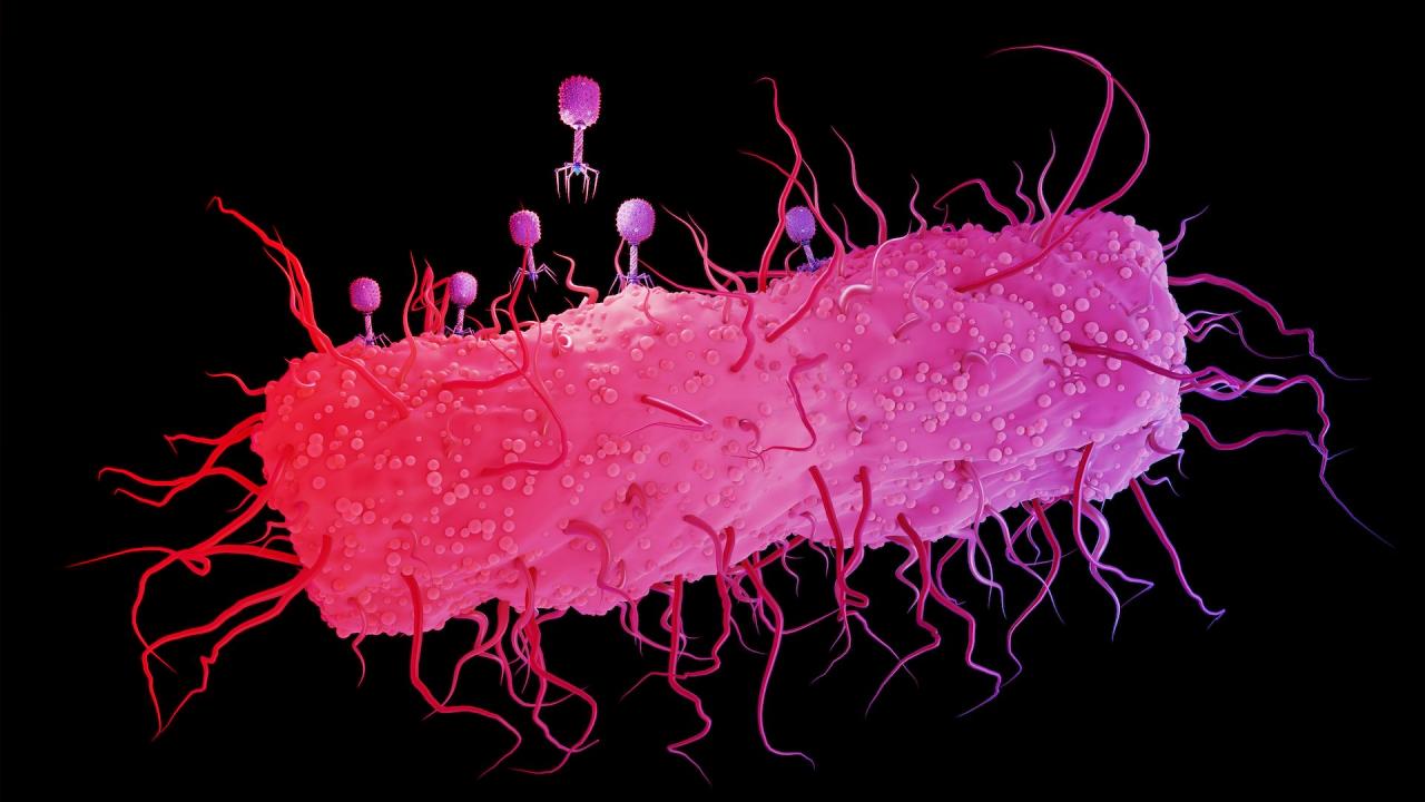 Az evolúció kulcsa: a véletlenszerű mutációk megdönthetetlen bizonyítékai
