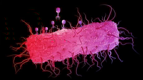 Az evolúció kulcsa: a véletlenszerű mutációk megdönthetetlen bizonyítékai