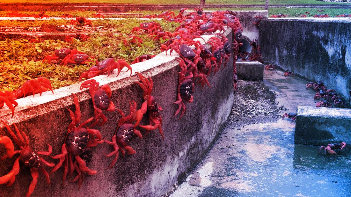 Az indiai-óceáni szigetet nem az MI, hanem a kábelek érdeklik