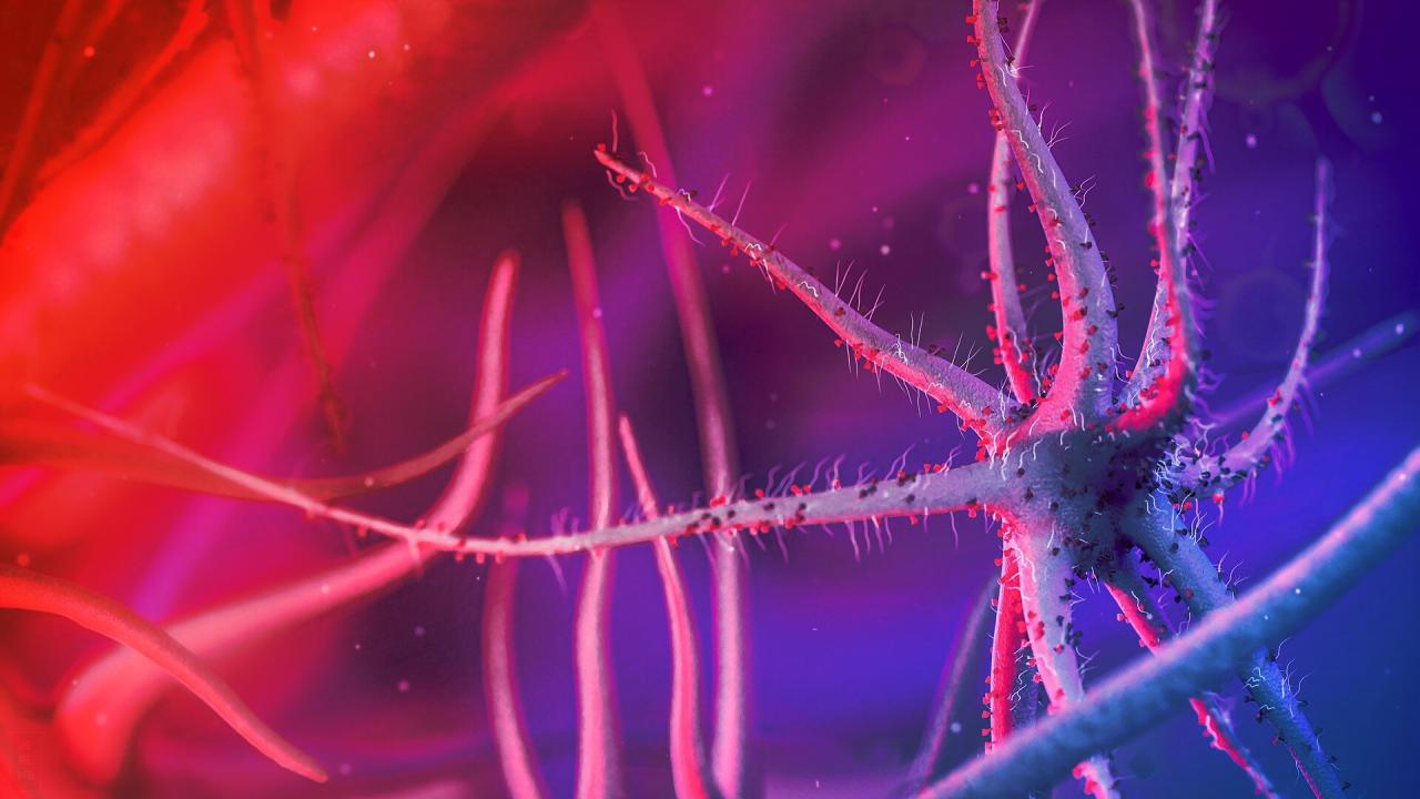 Az mRNS-terápia áttörést hoz az antibiotikum-rezisztencia elleni harcban