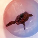 Az óceán apró navigátorai: a tengeri teknősök titkos iránytűje