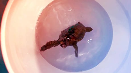 Az óceán apró navigátorai: a tengeri teknősök titkos iránytűje