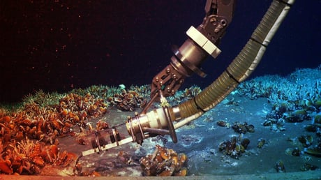 Az óceán mélyén egy titokzatos birodalom lüktet