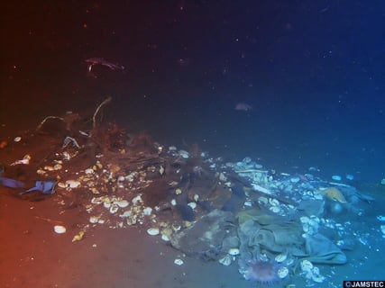 Az óceánok szeméthalmaza: kellene a globális fellépés, mégis esélytelen?