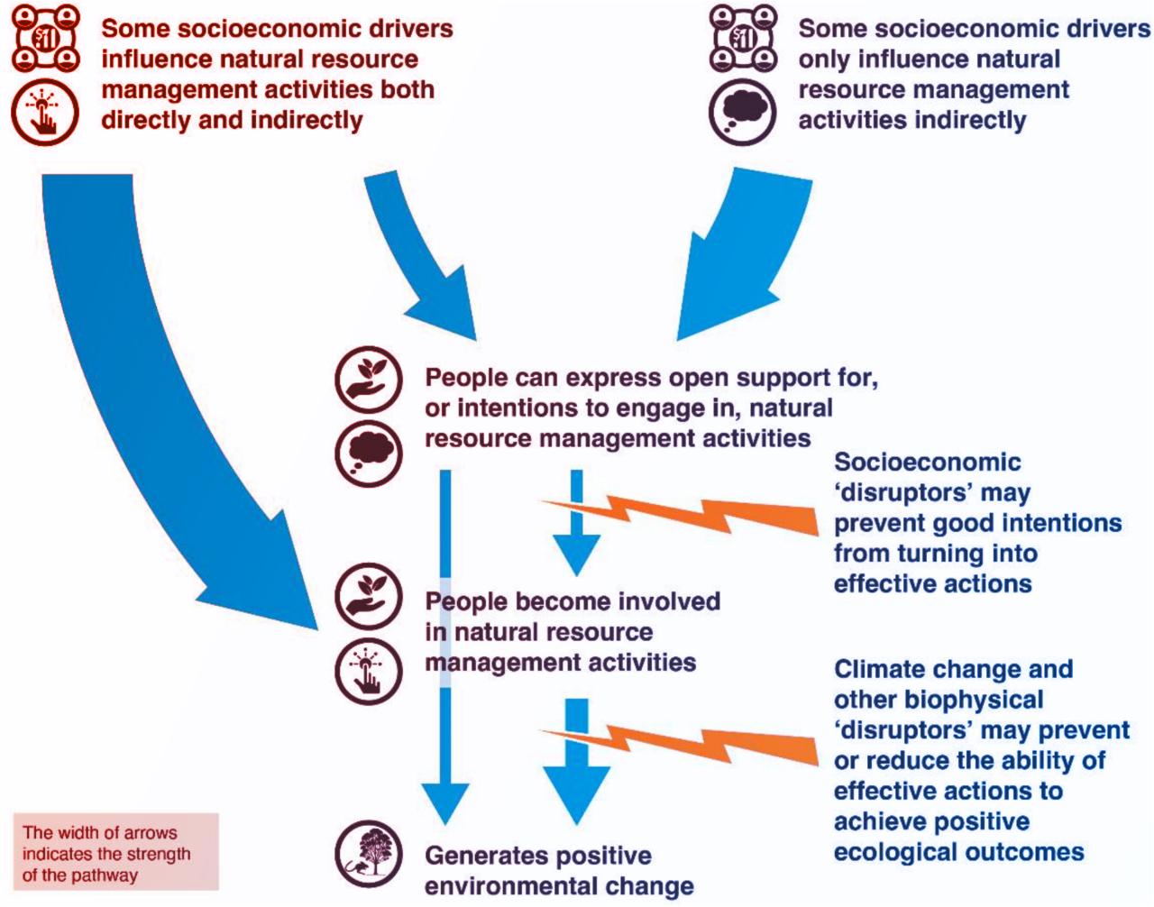 Az ökológiai siker titka: együtt vagy sehogy