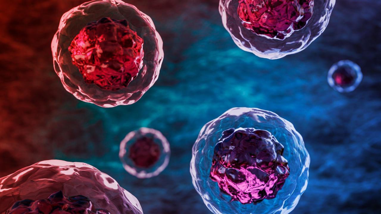 Az öregedő sejtek eltávolítása forradalmasíthatja a diabétesz kezelését