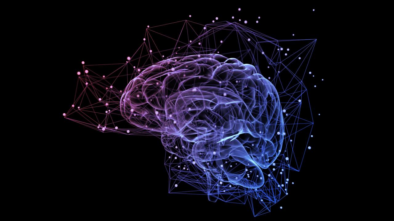 Az örök emlékek titka: miért nem felejt az agy?