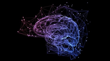 Az örök emlékek titka: miért nem felejt az agy?