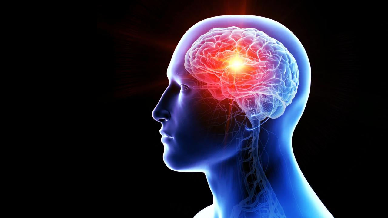 Az orrba cseppentett nanoterápia egereknél legyőzi az agydaganatot