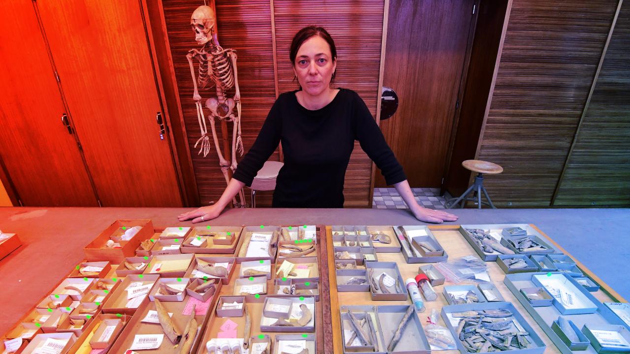 Az ősi belga barlang sötét titka: kannibalizmus és halál