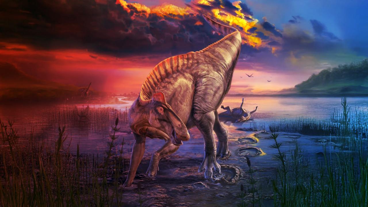 Az ősi dinoszaurusz-múmia átírja a tankönyveket: paták és taréj