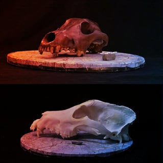 Az ősi kutyafajták nem a viktoriánus kor szüleményei