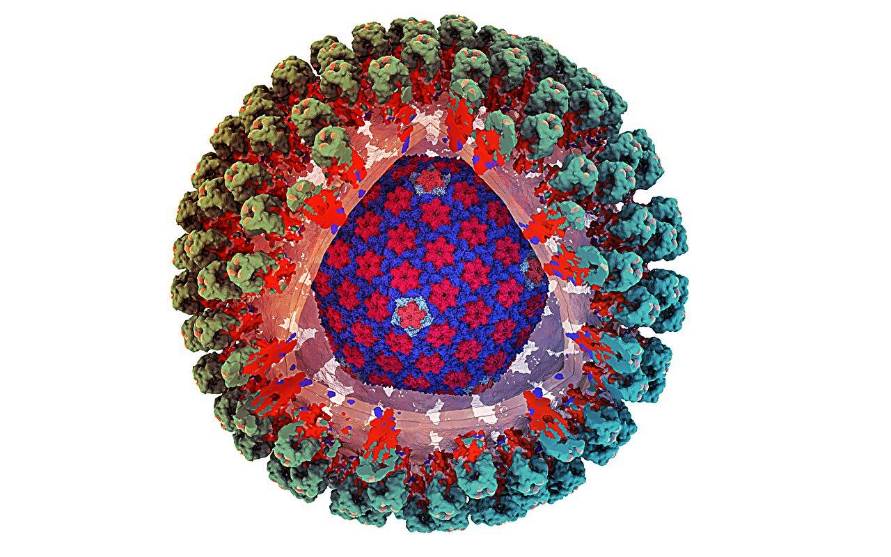 Az ősi retrovírus nyomában: kulcs a légúti kórokozókhoz