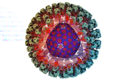 Az ősi retrovírus nyomában: kulcs a légúti kórokozókhoz