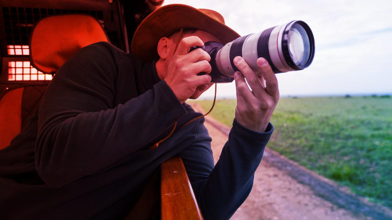Az öt legjobb belépő szintű fényképezőgép vadfotózóknak 2025-ben