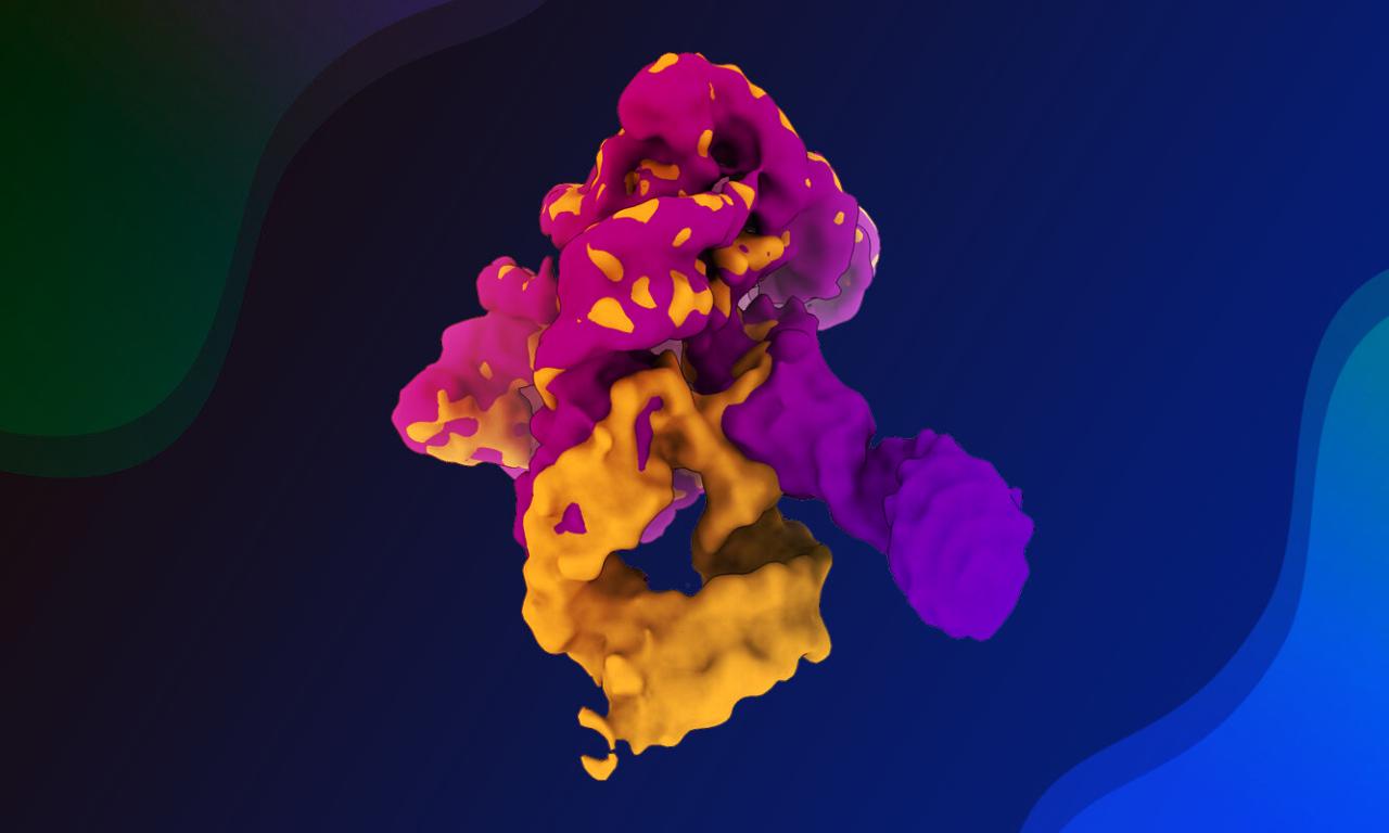 Az RNS, amely önmagát rendezi: lefilmezték a ribozim önszerveződését