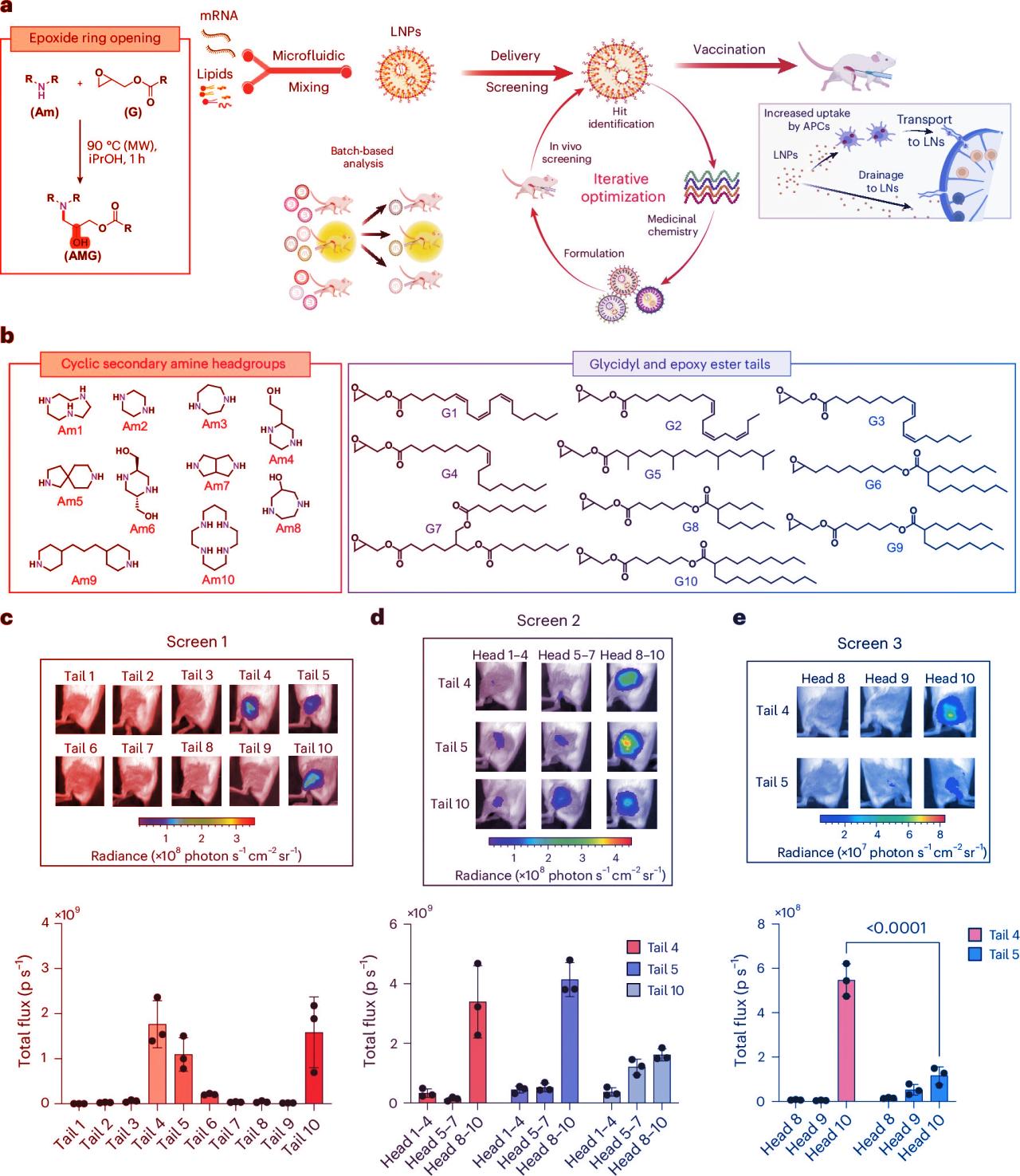 Az új nanorészecskék forradalmasíthatják az mRNS-vakcinák működését