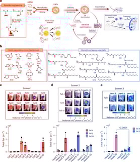 Az új nanorészecskék forradalmasíthatják az mRNS-vakcinák működését