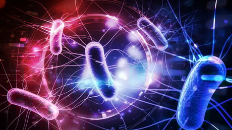 Az új rákgyilkos baktérium: amikor az immunrendszer pihenhet