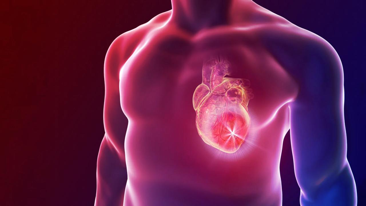 Az új szívtapasz megmentheti a szívet szívinfarktus után