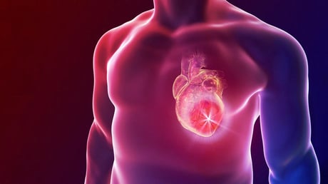 Az új szívtapasz megmentheti a szívet szívinfarktus után