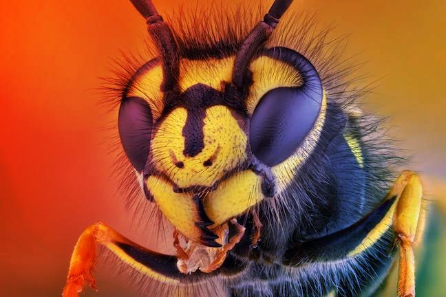 Az újabb Fortinet-botrány: kritikus sebezhetőséget támadnak világszerte