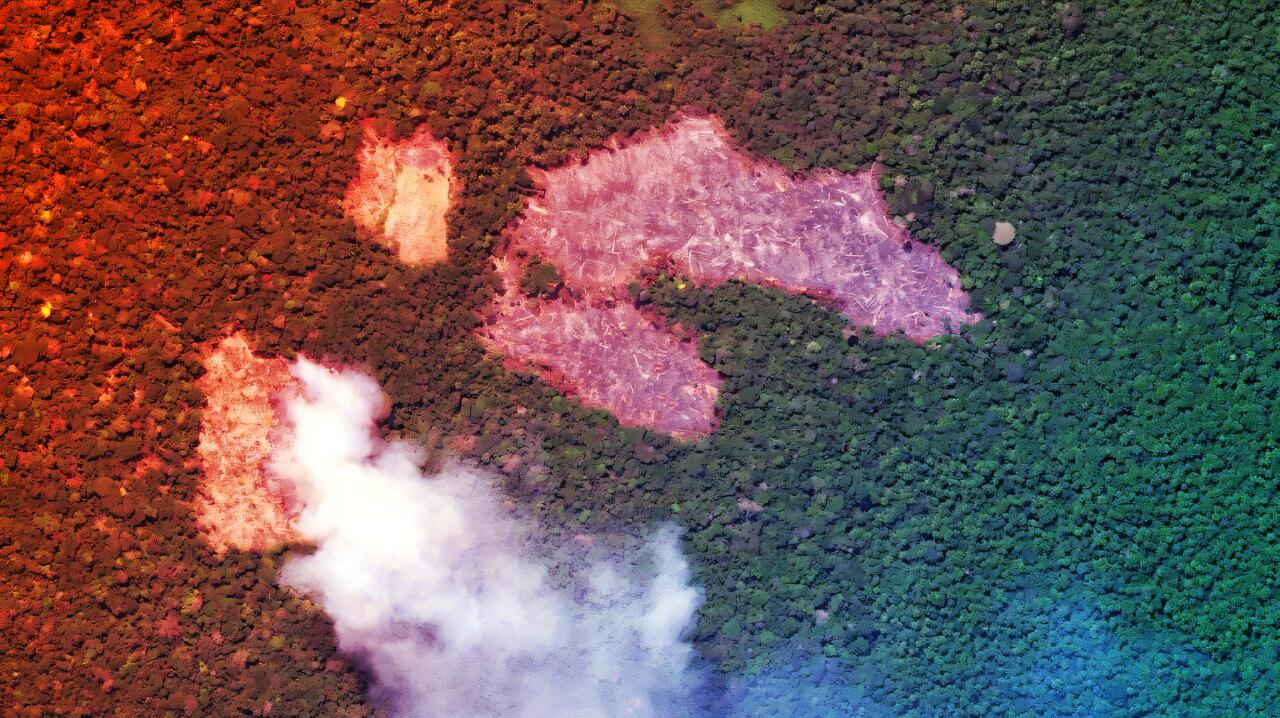 Brazília óriásalappal mentené meg az őserdőket