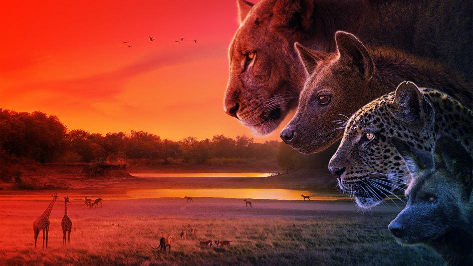 Érkezik Attenborough új sorozata, a Birodalom az év természetfilmje