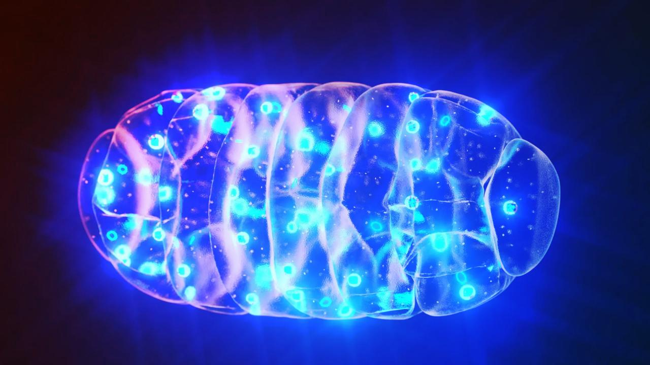 Felfedték az emberi sejtek titkos riasztórendszerét