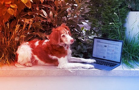 Húsz éve figyeljük a Techmeme oldalát csendben