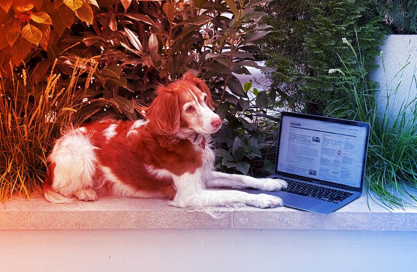 Húsz éve figyeljük a Techmeme oldalát csendben