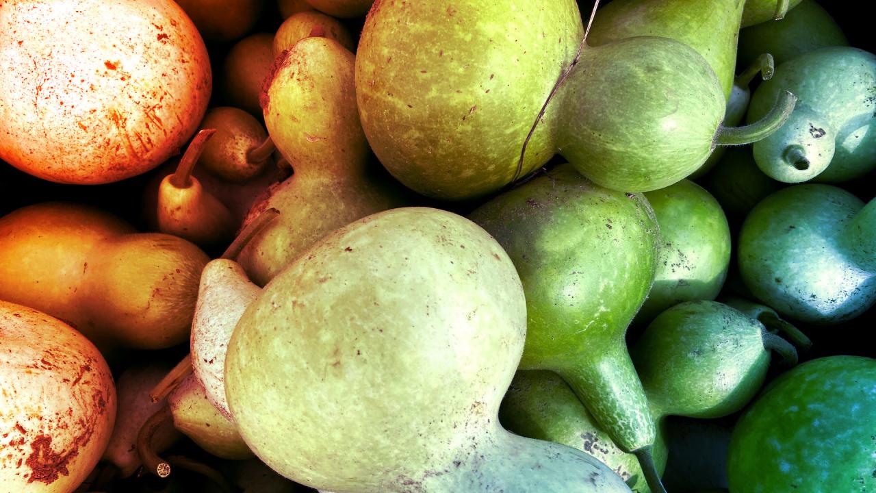 Majdnem belehalt a házi töklébe