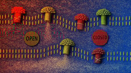 Meglepő felfedezés, a baktériumok is képesek tanulni az emberi agyhoz hasonlóan