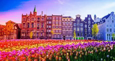 Újabb chipvihar: a kínaiak üzennek Hollandiának