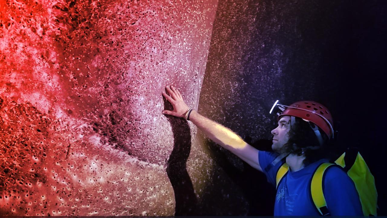 Világrekord pókhálóban él 111 ezer pók, rémisztő látvány