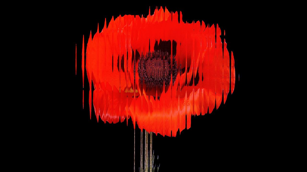 A 10 kihagyhatatlan üzleti könyv, amit idén el kell olvasnod