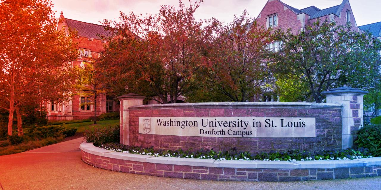 A 266 millió dolláros Workday-váltás: kidobott pénz?