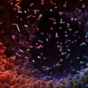 A bélflóra titkos fegyvere: a TMA és a cukorbetegség