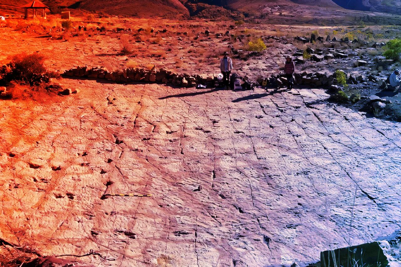 A bolíviai hegyoldal, ahol 16 ezer dinoszaurusz járt