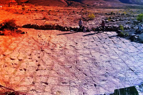 A bolíviai hegyoldal, ahol 16 ezer dinoszaurusz járt